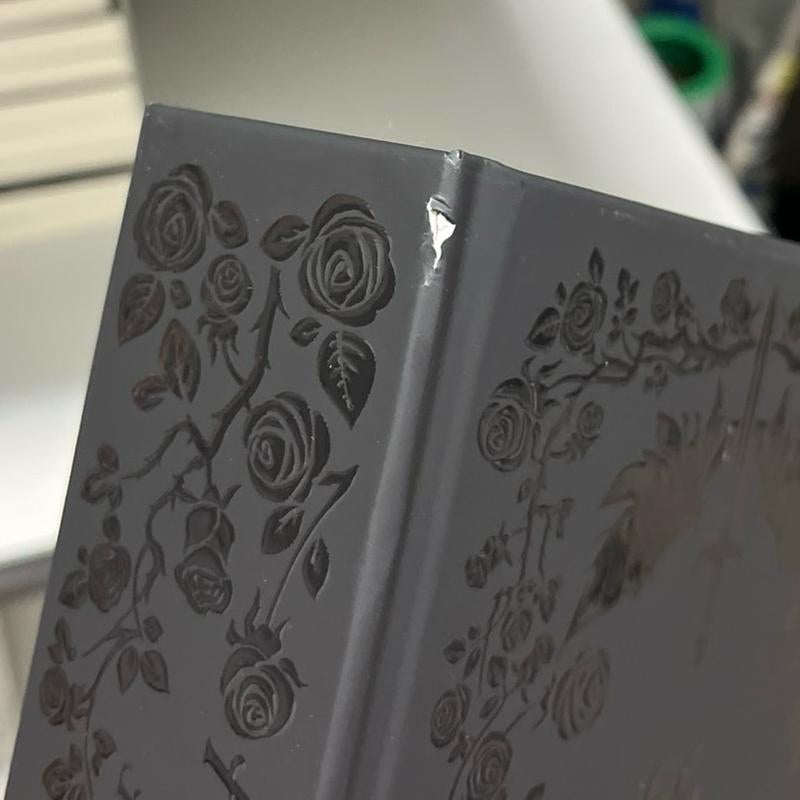 Midnight Edition Fae of Rewyth Omnibus – Limited Black Gloss Collector’s Book (Scratch & Dent)